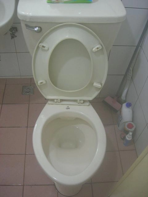 馬桶清潔後