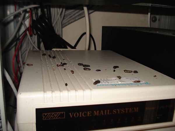 辦公室平台清潔