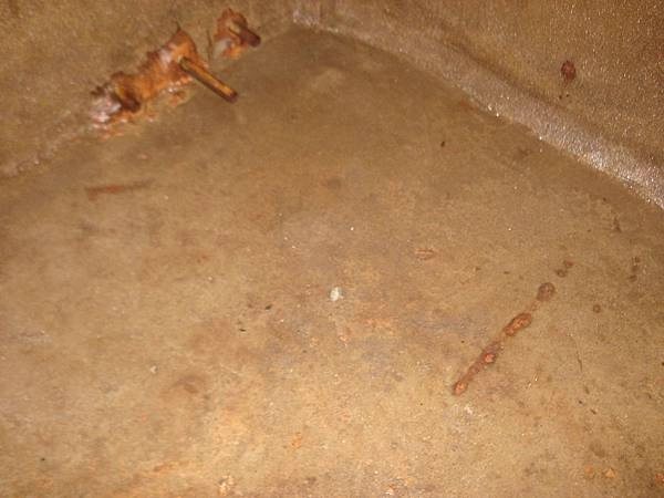 新店安和路 - 水泥水塔清洗